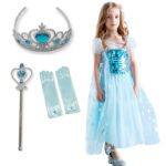 Elsa Princess Dress Anna Cosplay Costumes