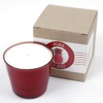 Spa Island Citrus Vanilla Candle 8oz