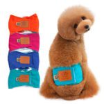 Quality Male Pet dog Physiological Pants Boy Puppy